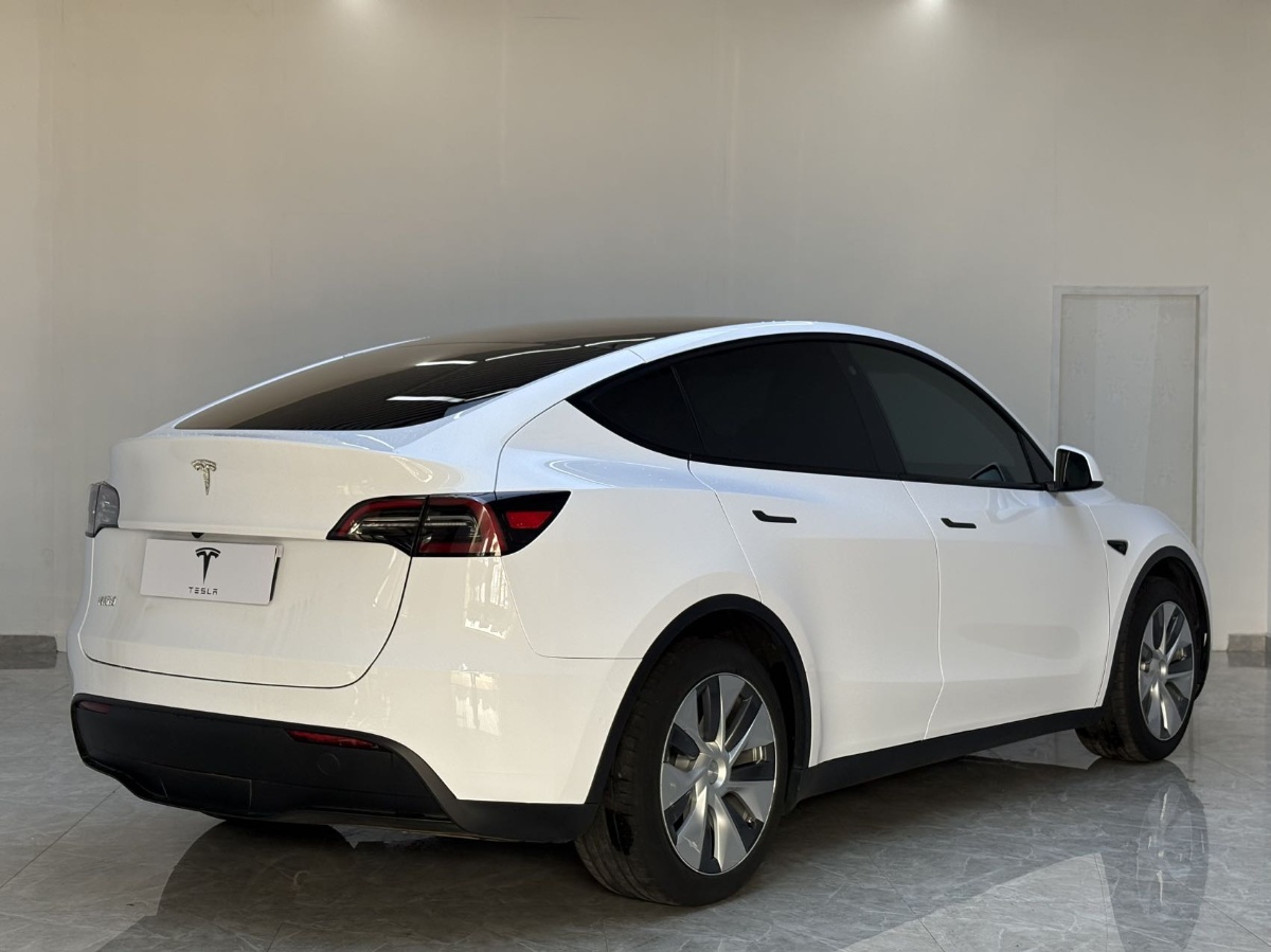 Tesla Model Y 1969 #9 Tesla Model Y 1969 car image #9
