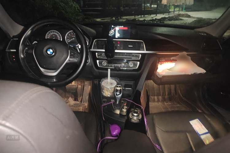 BMW 3 Series 2017 car image #11