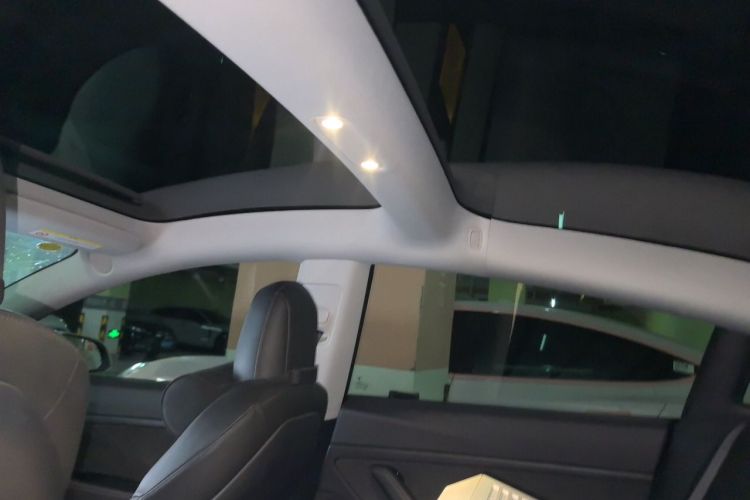 Tesla Model 3 2020 imagem de carro #16