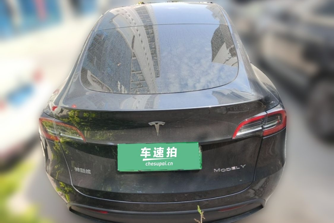 Tesla Model Y 2024 car image #6