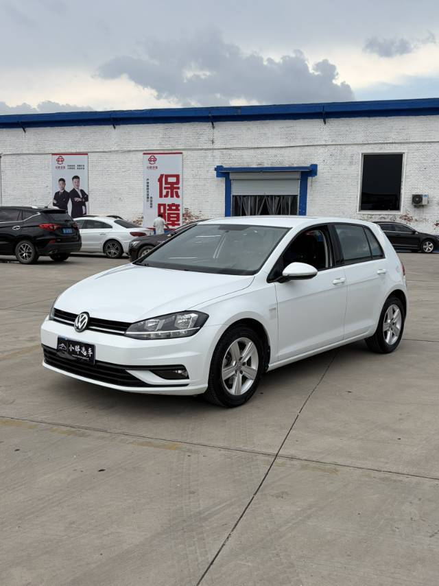 Volkswagen Golf 2019 Volkswagen Golf 2019 car image