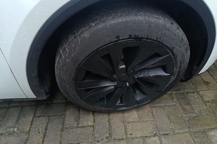 Tesla Model Y 2025 car image #9