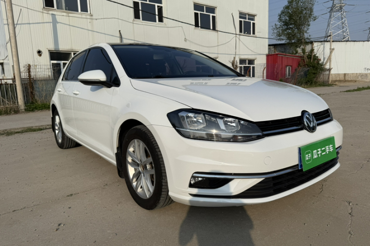 Volkswagen Golf 2019 #4 Volkswagen Golf 2019 car image #4