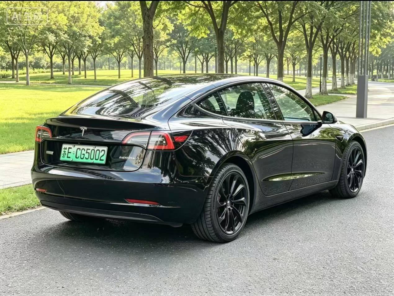 Tesla Model 3 2022 car image #9