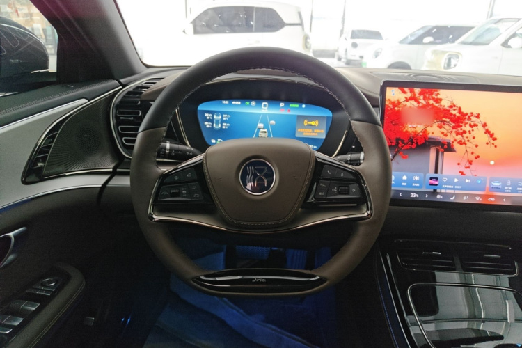 BYD Han 2024 car image #14