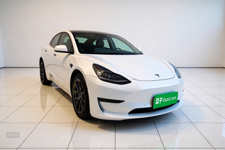 Tesla Model 3 2021 car image #4