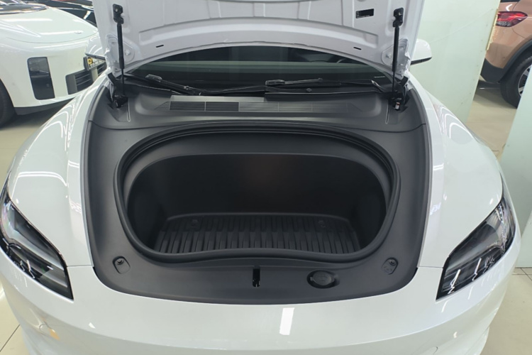 Tesla Model 3 2024 immagine di auto #20