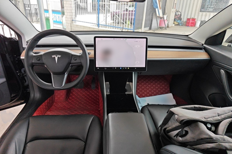 Tesla Model 3 2020 car image #10