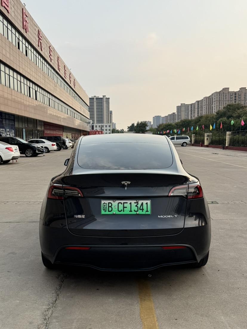 Tesla Model Y 2024 car image #8