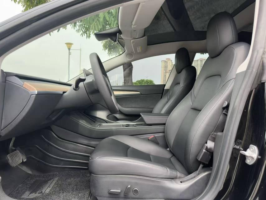 Tesla Model 3 2021 #6 Tesla Model 3 2021 car image #6