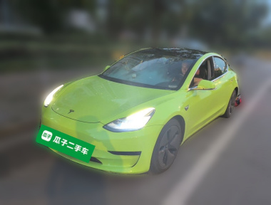 Tesla Model 3 2020 Tesla Model 3 2020 car image