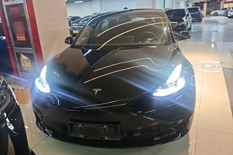 Tesla Model 3 2021 #3 Tesla Model 3 2021 car image #3