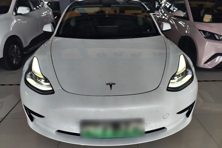 Tesla Model 3 2021 #3 Tesla Model 3 2021 car image #3