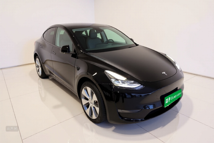 Tesla Model Y 2021 car image #4