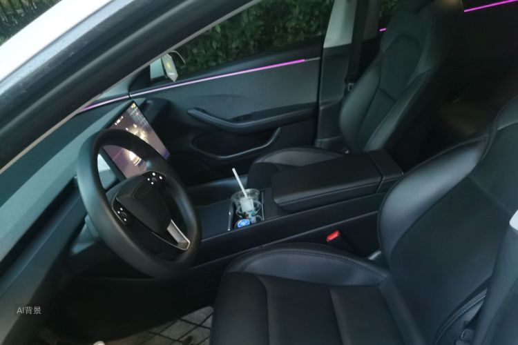 Tesla Model 3 2023 car image #17
