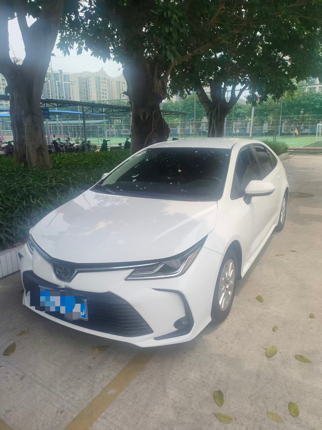 Toyota Corolla 2021 car image 