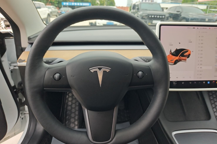 Tesla Model 3 2021 car image #11