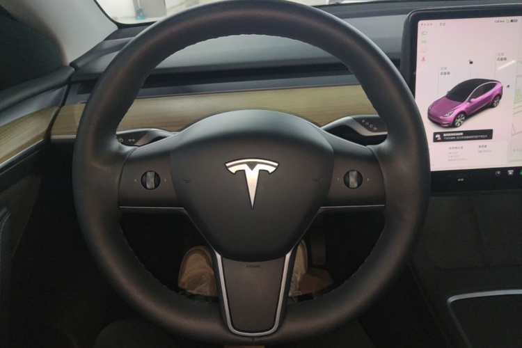 Tesla Model Y 2021 car image #11