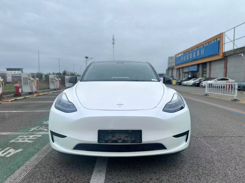 Tesla Model Y 2023 car image 