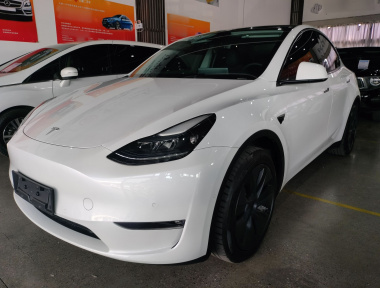 Tesla Model Y 2023 Tesla Model Y 2023 car image