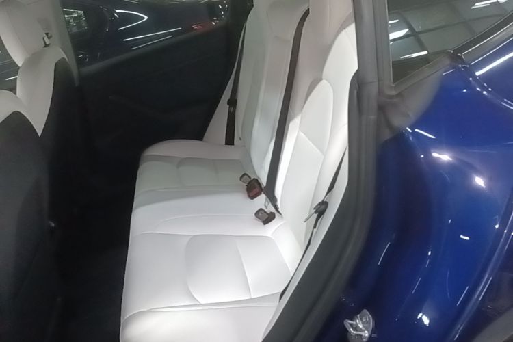 Tesla Model 3 2021 #17 Tesla Model 3 2021 car image #17
