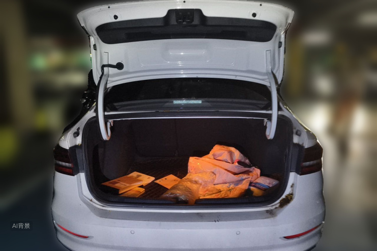 Volkswagen Lavida 2022 car image #21