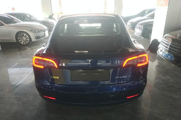 Tesla Model 3 2021 car image #6