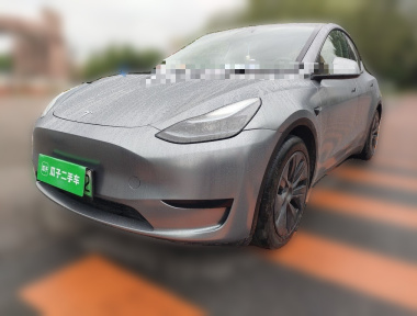 Tesla Model Y 2024 car image 