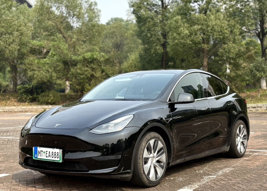 Tesla Model Y 2022 Tesla Model Y 2022 car image