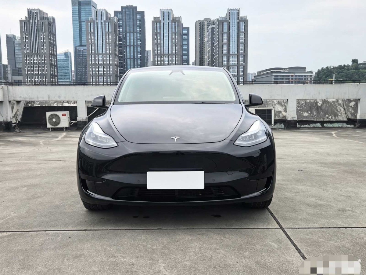 Tesla Model Y 2022 #2 Tesla Model Y 2022 car image #2