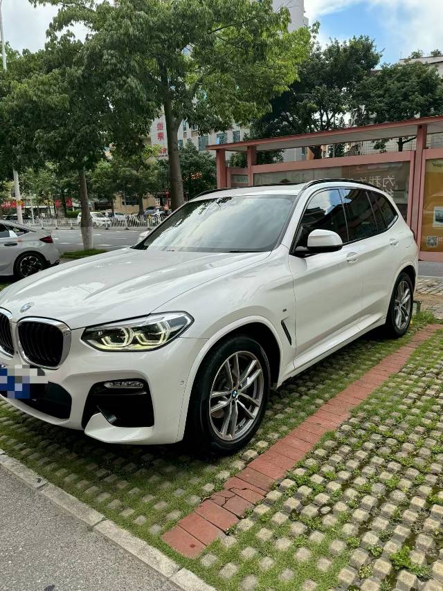 BMW X3 2019 car image 