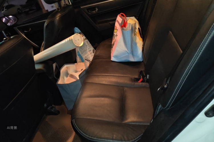 Toyota Corolla 2017 car image #19