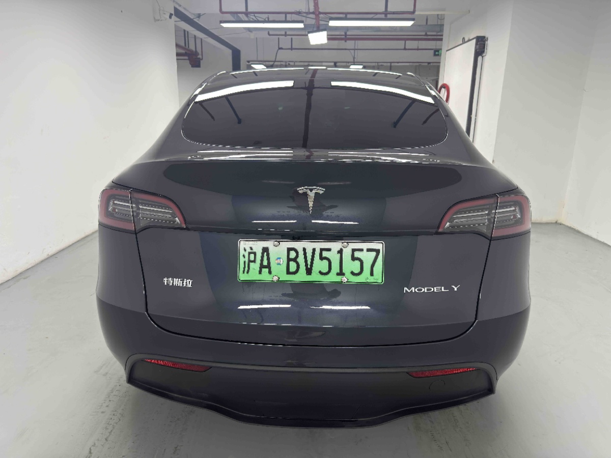 Tesla Model Y 2025 car image #6