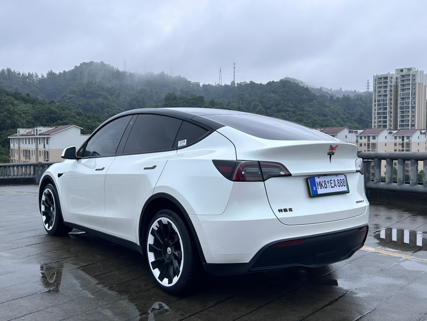 Tesla Model Y 2021 #18 Tesla Model Y 2021 car image #18