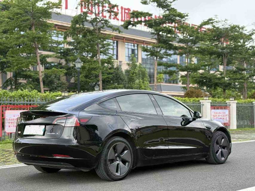 Tesla Model 3 2021 #10 Tesla Model 3 2021 car image #10