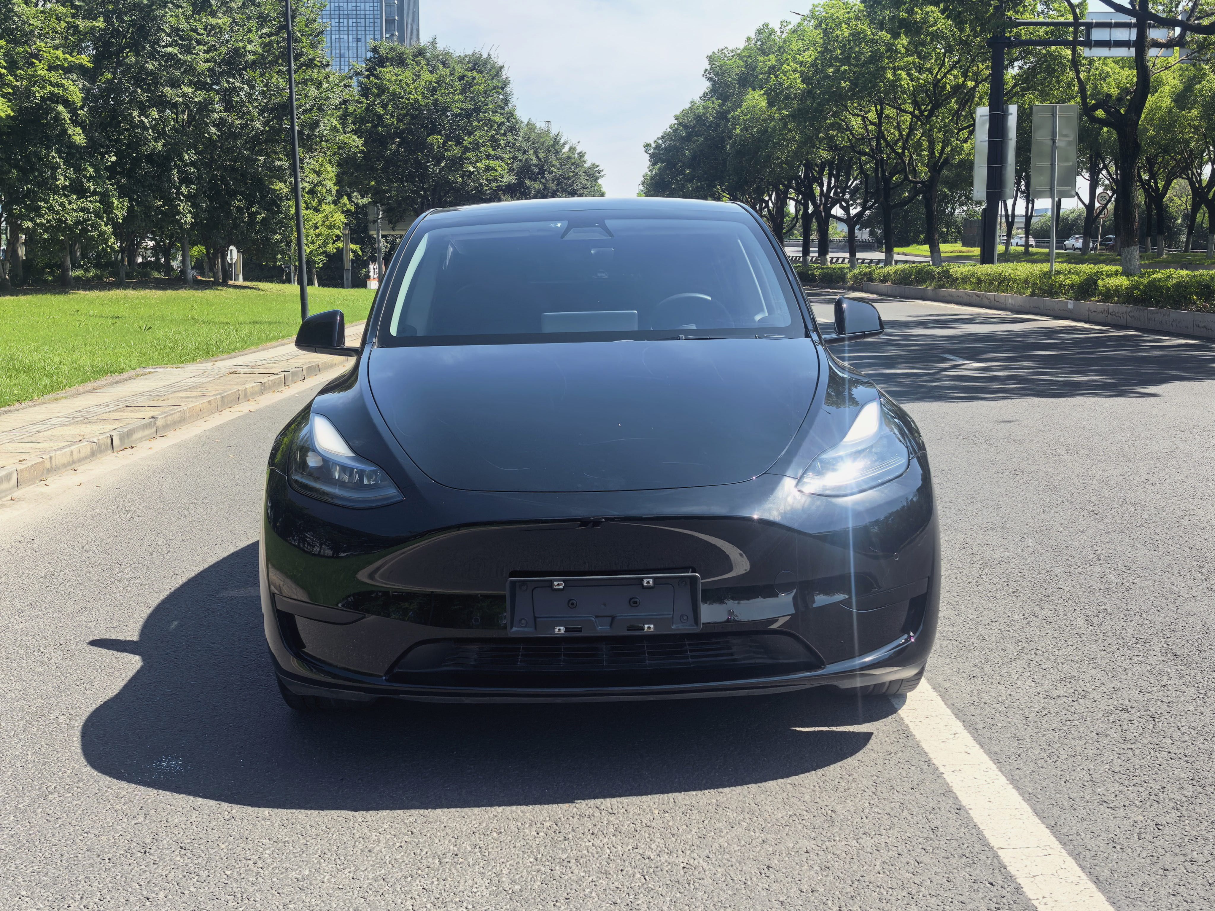 Tesla Model Y 2023 Tesla Model Y 2023 car image