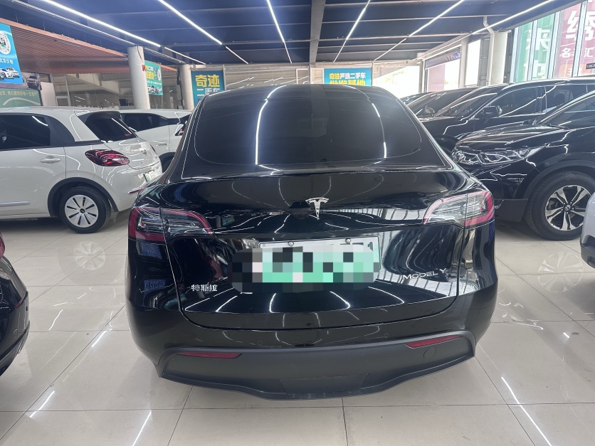 Tesla Model Y 2022 car image #9