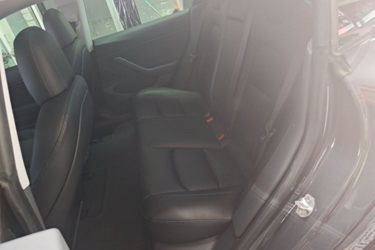 Tesla Model 3 2020 car image #13
