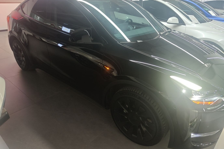 Tesla Model Y 2023 car image #4