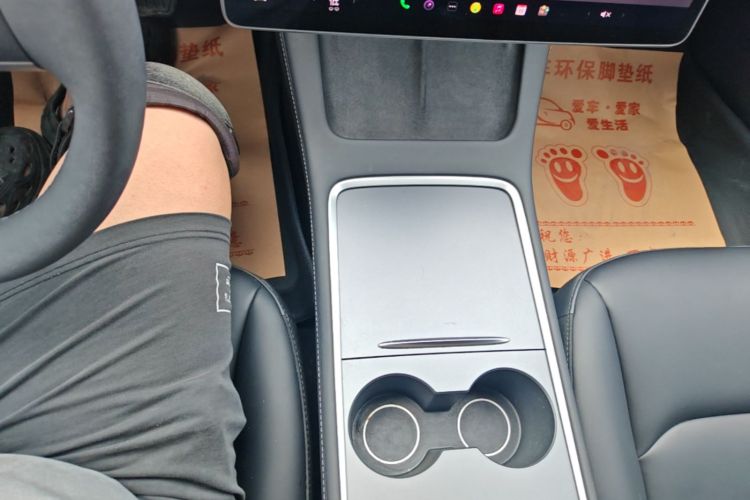 Tesla Model 3 2023 car image #18
