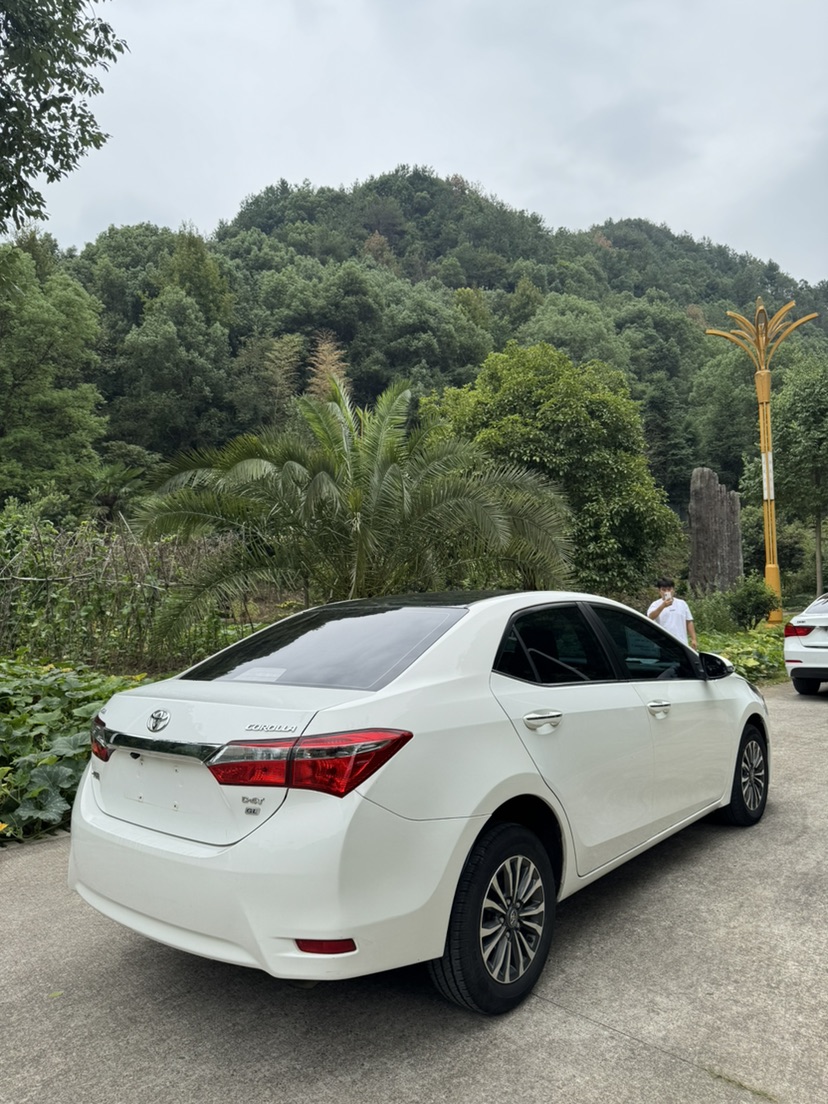 Toyota Corolla 2018 car image #4
