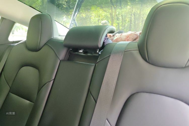 Tesla Model 3 2020 car image #20