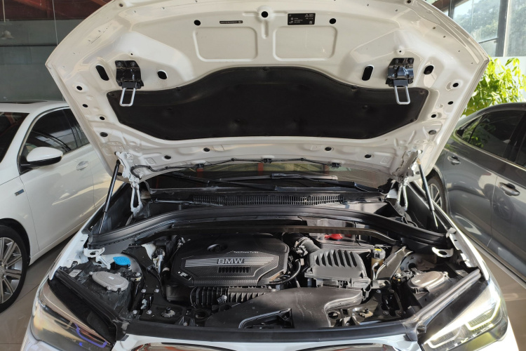 BMW X1 2019 imagem de carro #20