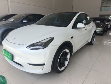 Tesla Model Y 2023 Tesla Model Y 2023 car image