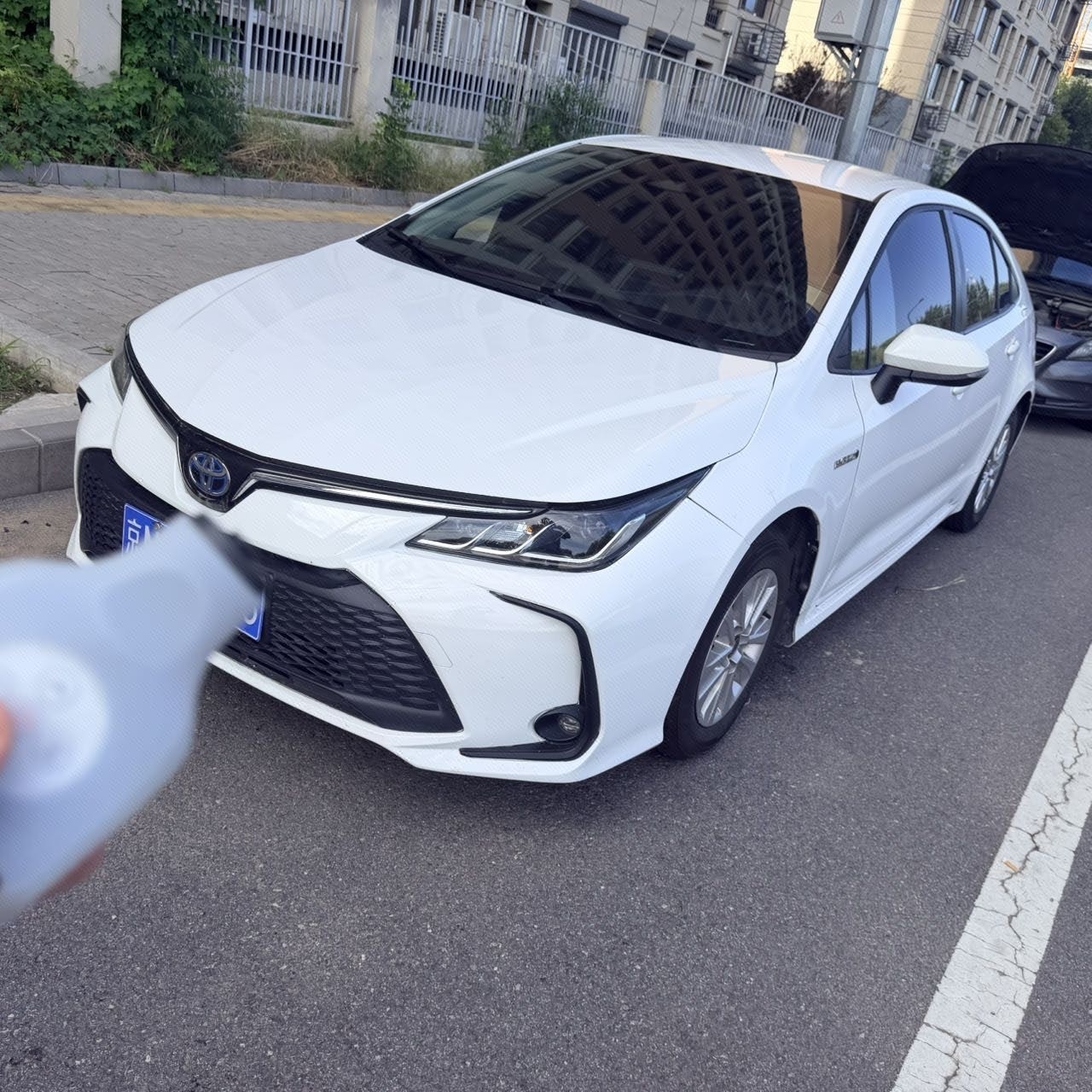 Toyota Corolla 2024 car image 
