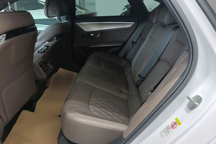 BYD Han 2022 car image #19