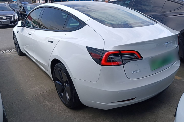 Tesla Model 3 2021 #5 Tesla Model 3 2021 car image #5