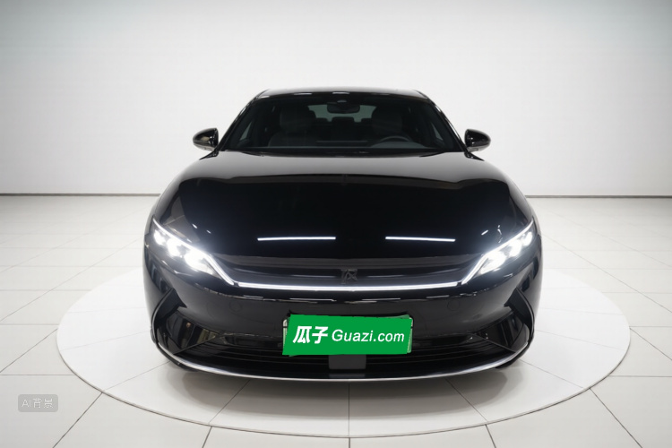 BYD Han 2022 immagine di auto #3