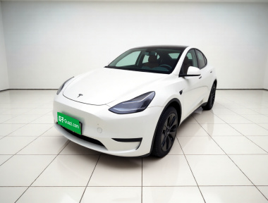 Tesla Model Y 2024 Tesla Model Y 2024 car image