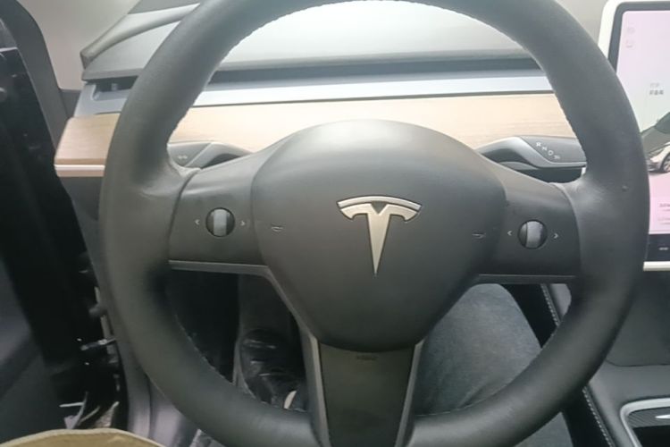 Tesla Model Y 2021 #15 Tesla Model Y 2021 car image #15